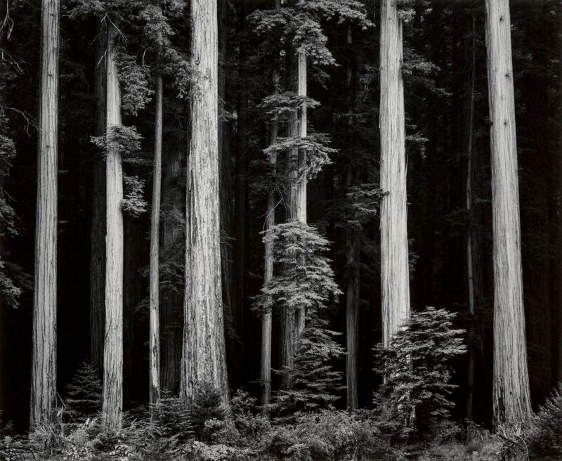 What Majestic Word, In Memory of Russell Varian - Ansel Adams from Fine Art Decor Image