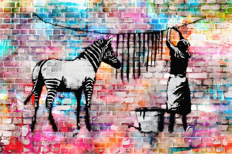 Colourful Washing Zebra on Concrete desde Bellas artes Decor Image