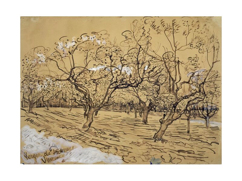 Ciruelos en Flor: Huerto de Provenza - Van Gogh - Fine Art Print