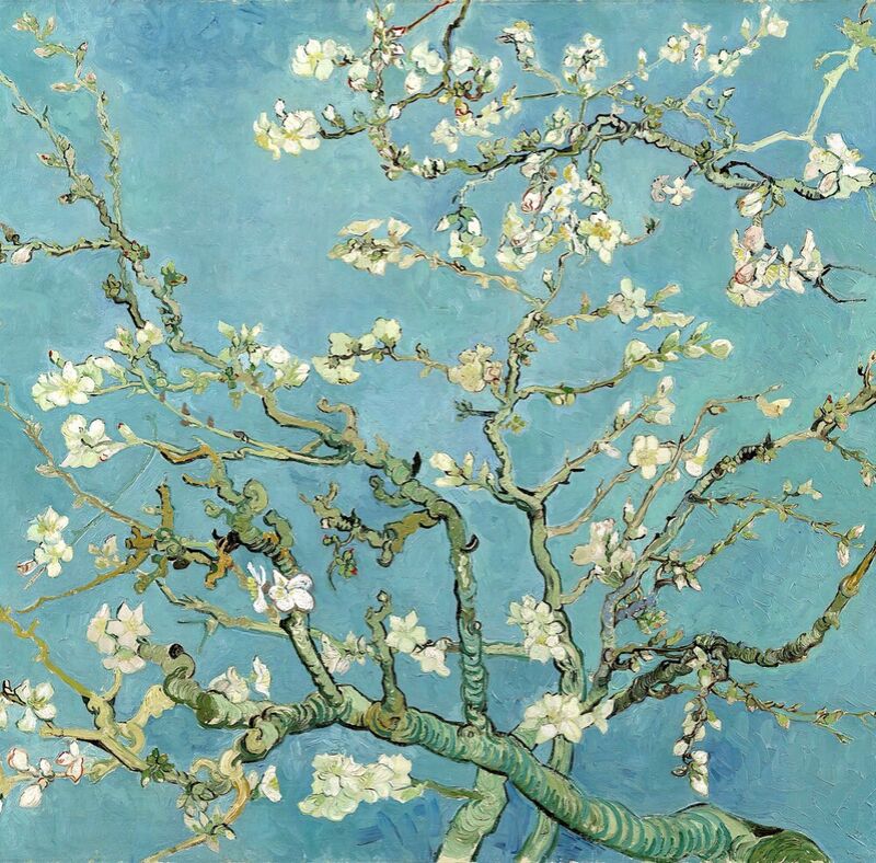 Almond Blossom, Saint-Rémy - 1890 desde Bellas artes Decor Image