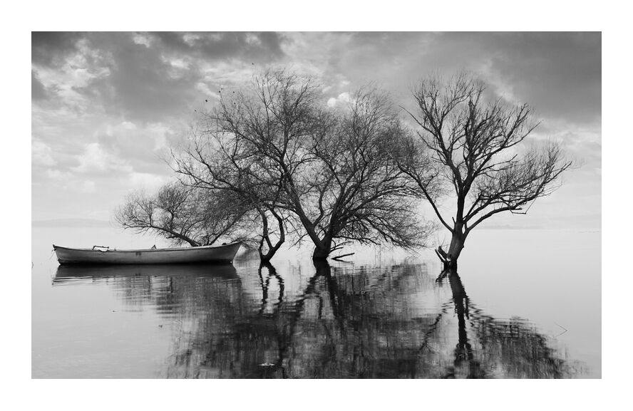 Le bateau et son attache - Ansel Adams 1942 de Beaux-arts, Prodi Art, bateau, arbre, Lac, noir et blanc, nuages, ciel, ANSEL ADAMS, barque, infini