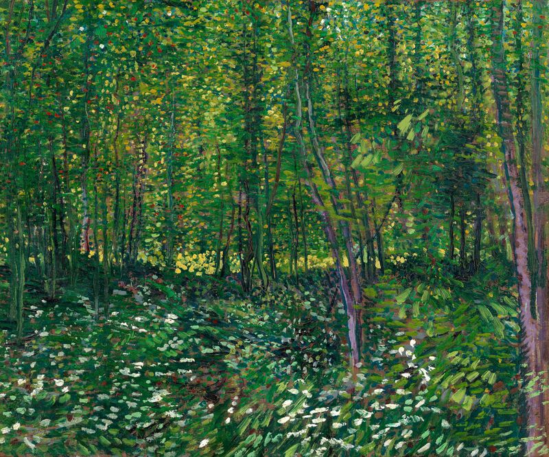 Trees and undergrowth - VINCENT VAN GOGH 1887 from Fine Art Decor Image