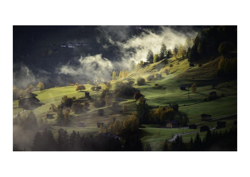 Brouillard sur la colline de Aliss ART, Prodi Art, des arbres, nature, paysage, collines, brouillard