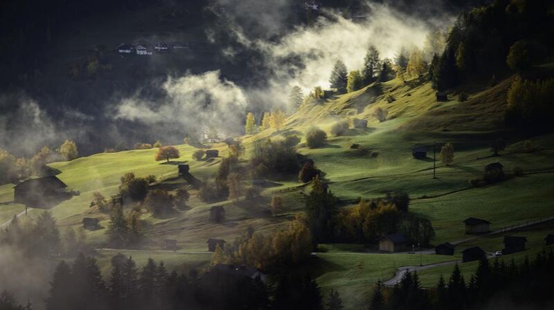 Fog on the hill from Aliss ART Decor Image