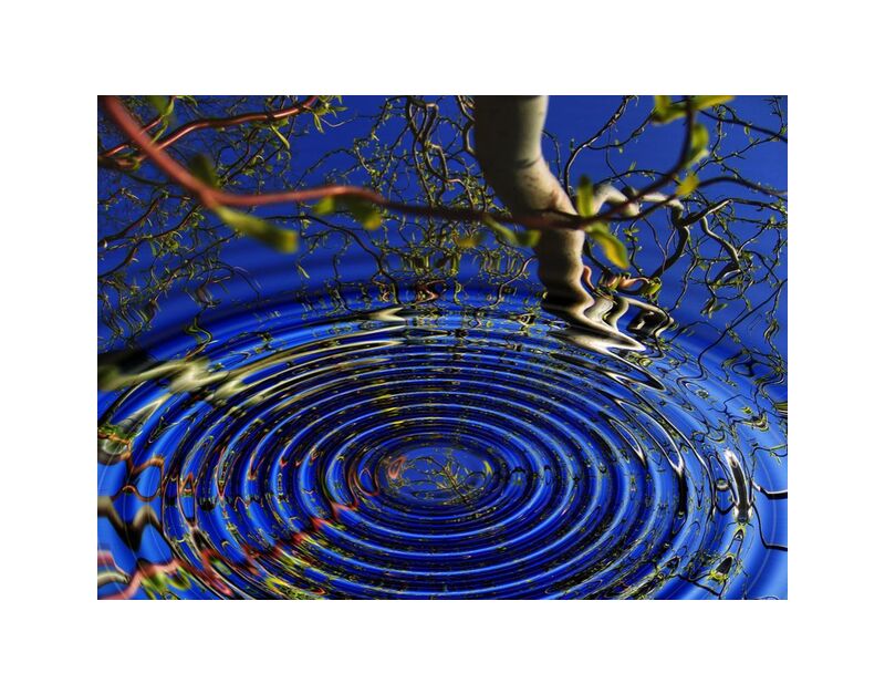 Reflection of trees from Aliss ART, Prodi Art, meditation, center, awareness, water, tree, texture, shape, round, ripple, reflection, pattern, outdoors, motion, mirroring, low angle shot, light reflections, light, design, circle, bright, branches, art, abstract