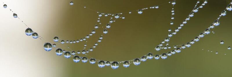 Drops on canvas from Aliss ART Decor Image